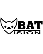 Bat Vision